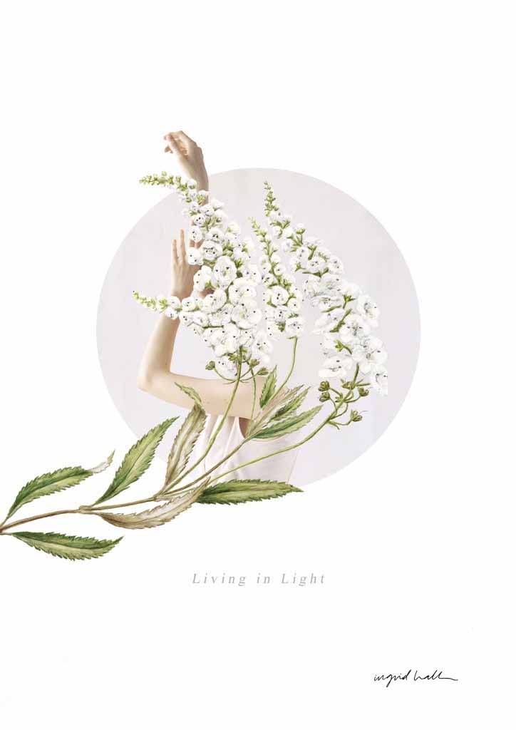 living-in-light-a3